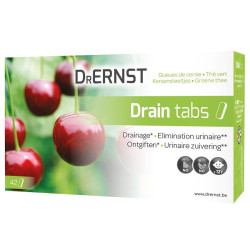Dr Ernst Drain Tabs 42 comprimés