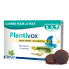 Plantivox 24 gommes