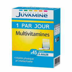 Juvamine Multivitamine 1 par Jour 45 gélules 