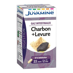 Juvamine Gaz Intestinaux Charbon + Levure 45 gélules
