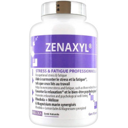 Ineldea Zenaxyl 90 gélules