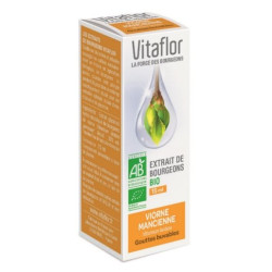 Vitaflor Extrait de Bourgeons Viorne Bio 15ml
