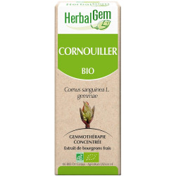 Herbalgem Cornouiller macérat 15ml