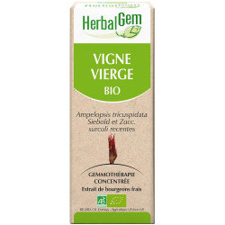 Herbalgem Vigne vierge macérat 50ml