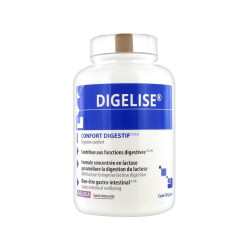 Ineldea Digelise Confort Digestif 90 gélules