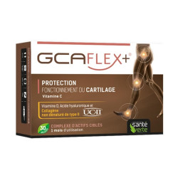 Santé Verte GCAFLEX+ 30 gélules