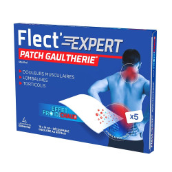 Flect'Expert Patch Gaulthérie 5 patchs 