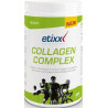 Etixx Collagene Complex 300g