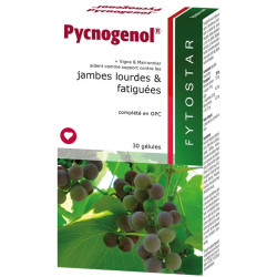 Fytostar Pycnogenol 30 gélules