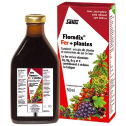 Floradix Fer + Plantes 500ml