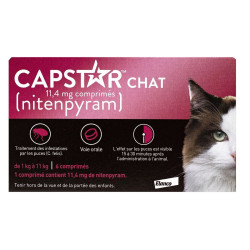 Capstar Chat 11,4mg Traitement des Infestations par les Puces 6 comprimés