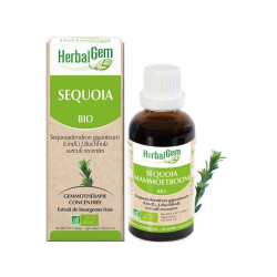Herbalgem Sequoïa bio 30ml