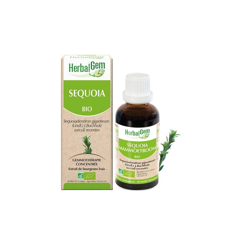 Herbalgem Sequoïa bio 30ml