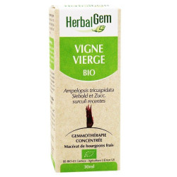 Herbalgem Vigne Vierge bio 30ml