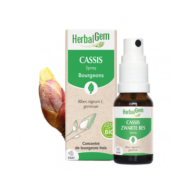 Herbalgem Cassis spray bio 15ml