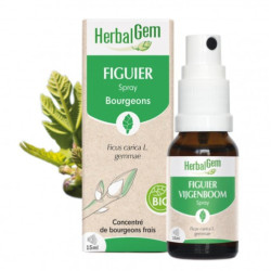 Herbalgem Figuier Spray bio 15ml